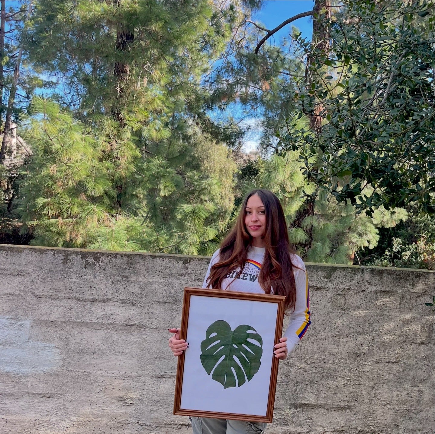 pressed monstera leaf