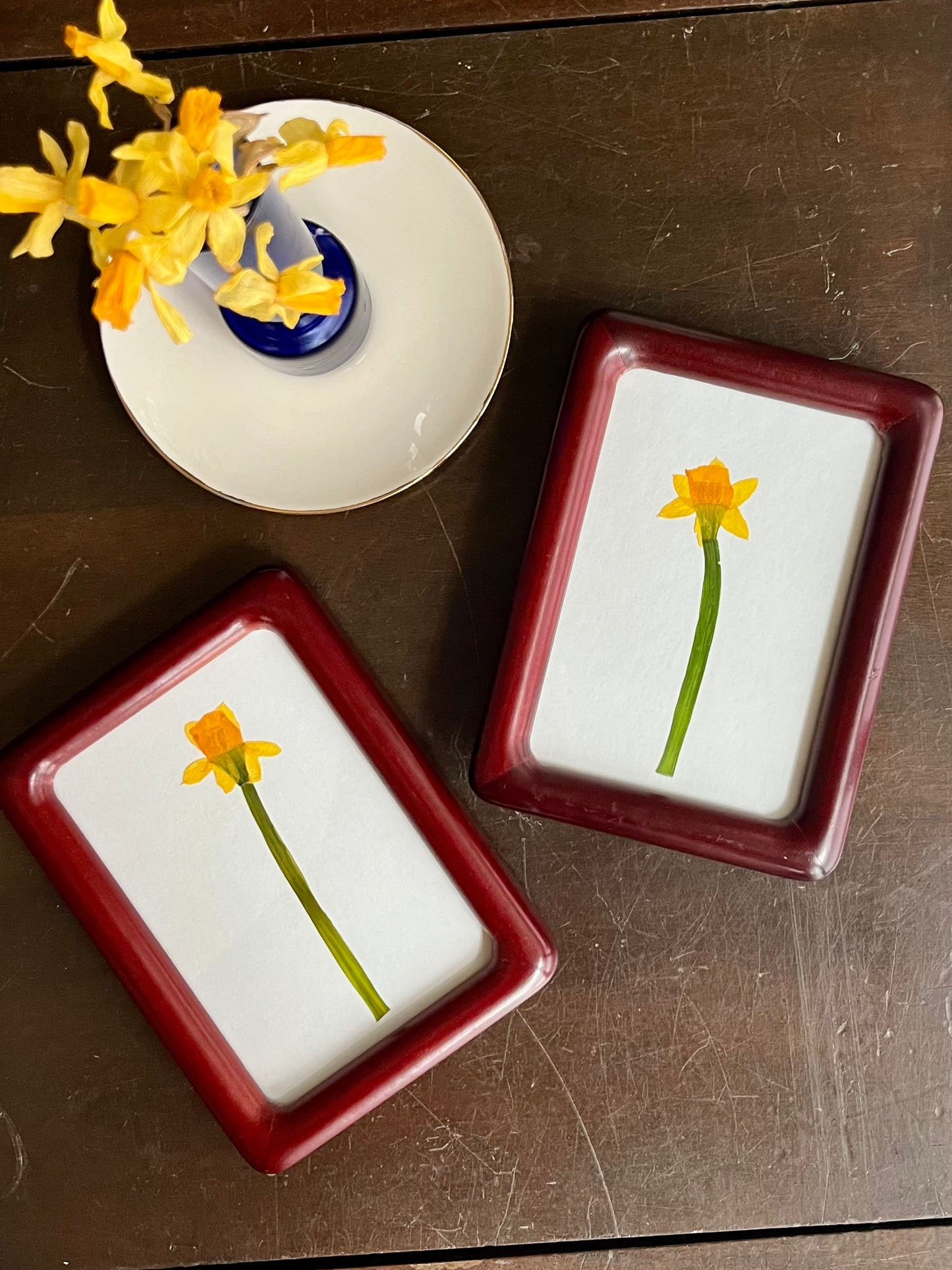 march birth flower set