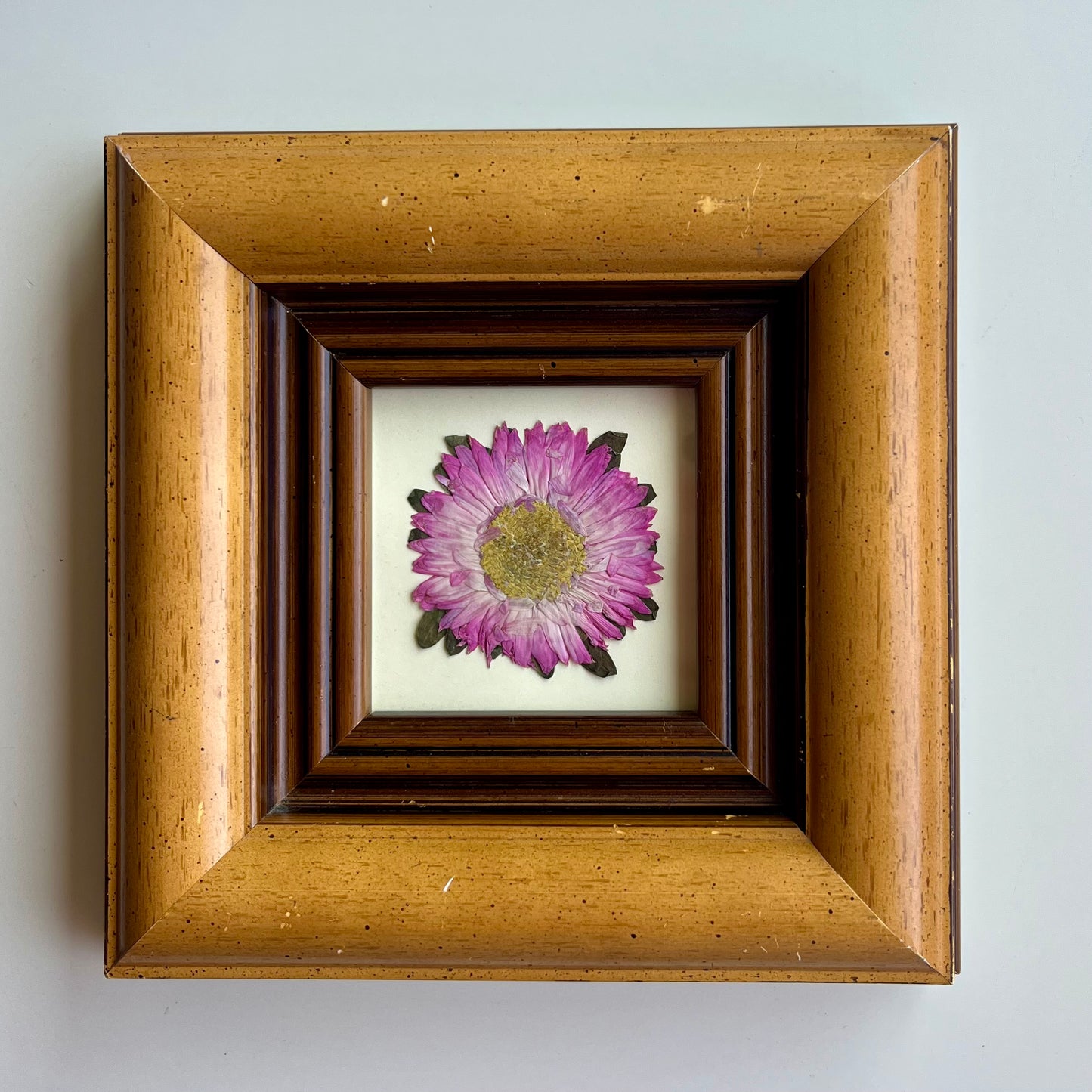 simple n cute framed flower