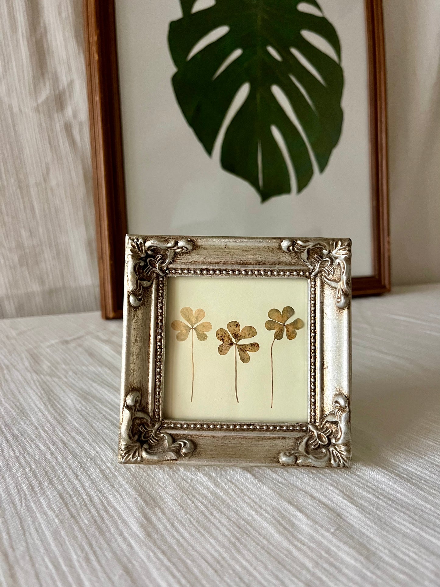 dainty pressed clover frame