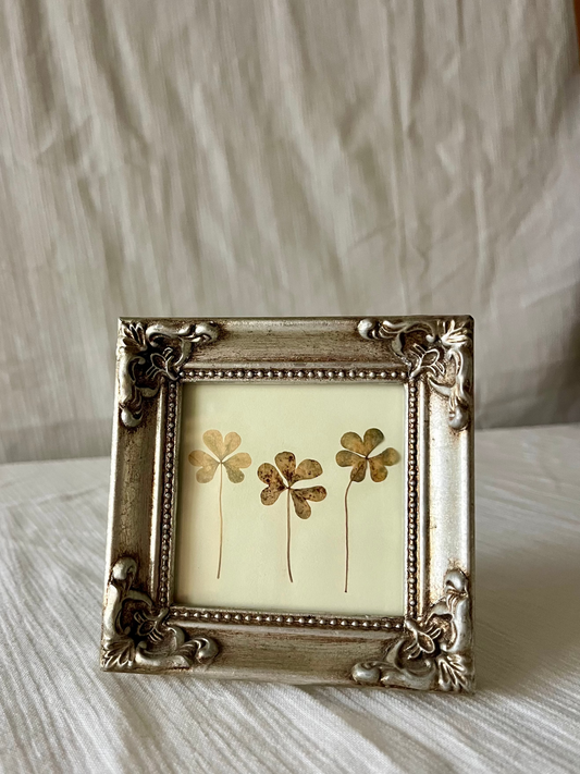 dainty pressed clover frame