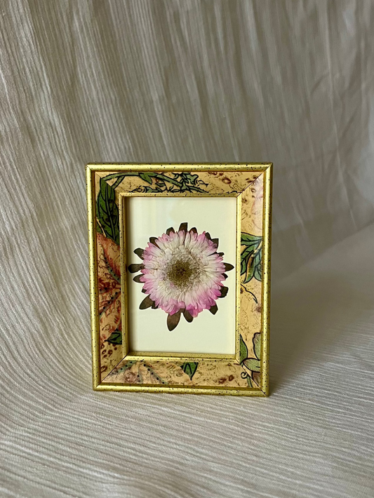 dainty pressed flower frame