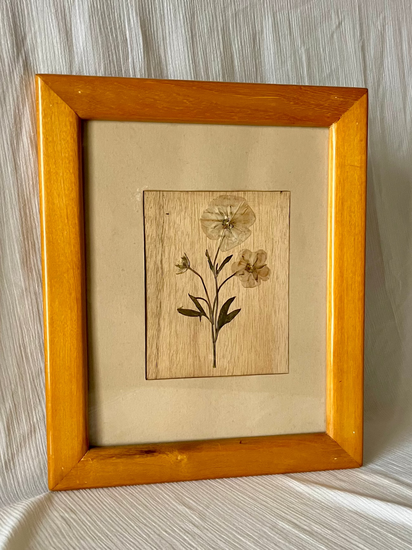 vintage pressed flower frame