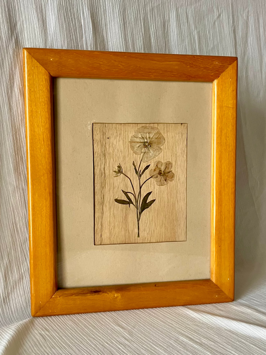 vintage pressed flower frame