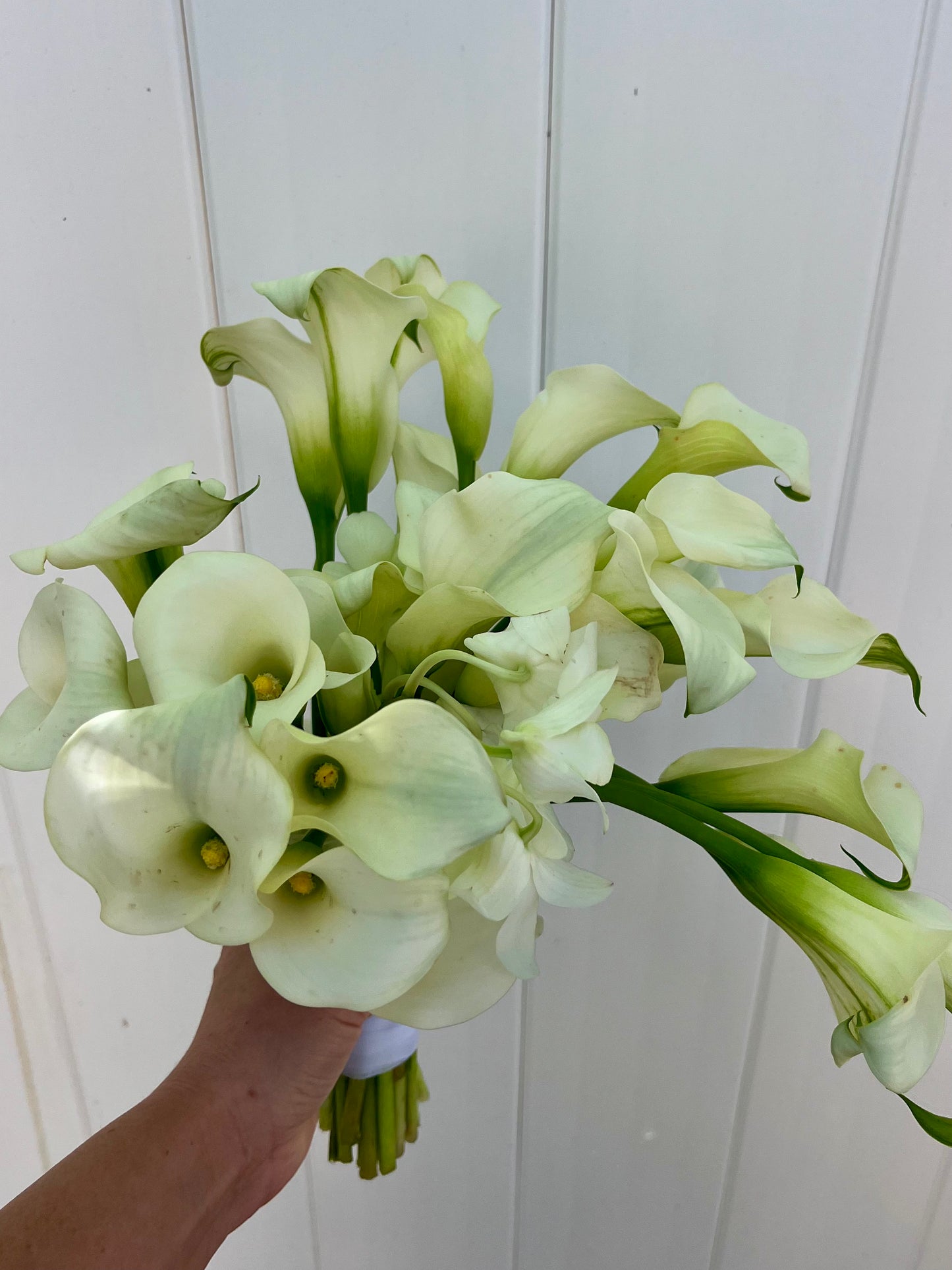 bride's bouquet